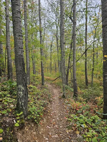 10 Best Trails and Hikes in Bayfield | AllTrails