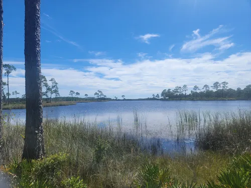 10 Best Trails and Hikes in Santa Rosa Beach | AllTrails