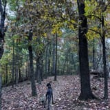 Scotts Gap Loop Trail, Kentucky - 913 Reviews, Map | AllTrails