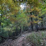Scotts Gap Loop Trail, Kentucky - 913 Reviews, Map | AllTrails
