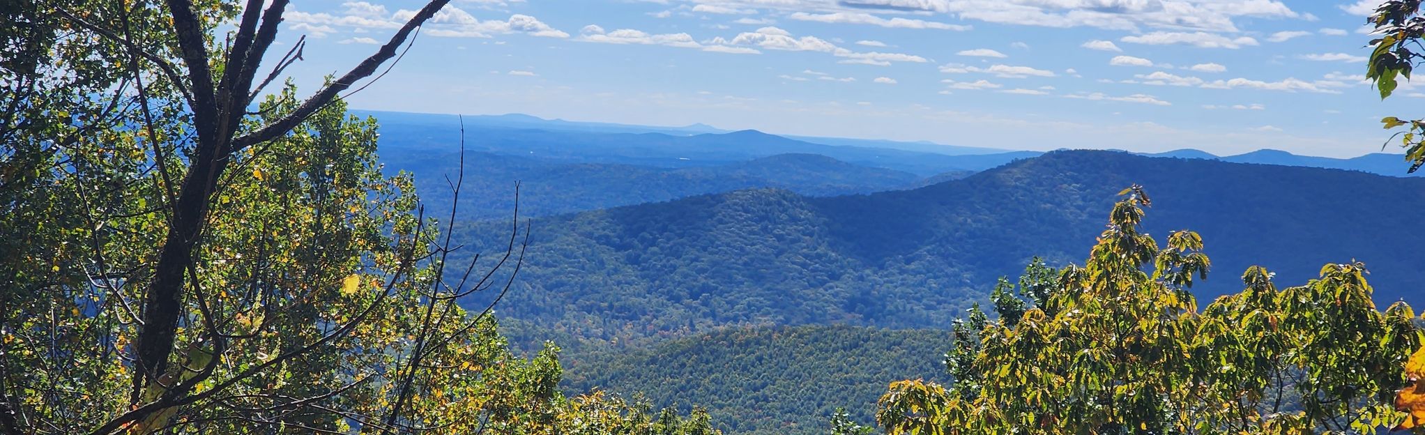 Appalachian Trail: Cooper Gap to Hawk Mountain, Georgia - 187 Reviews ...