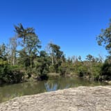 Tickfaw State Park River Trail, Louisiana - 136 Reviews, Map | AllTrails