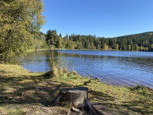 Windgfällweiher ab Altglashütten