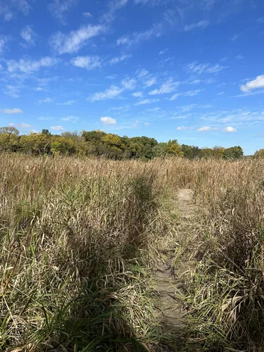 Best Hikes and Trails in Lyman Woods Forest Preserve | AllTrails