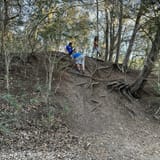 Jack Brooks Park Trail Texas 598 Reviews Map AllTrails