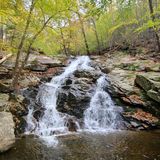 Old Mineral Springs Trail, New York - 325 Reviews, Map | AllTrails