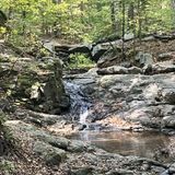 Cascade Falls Loop Trail , Maryland - 2,749 Reviews, Map 