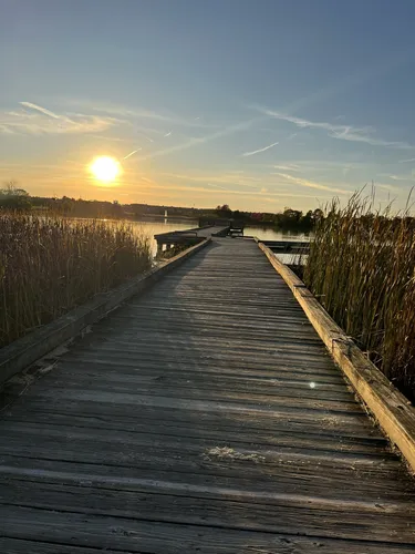 Hidden Beauty: 5 Scenic Hiking Trails in Glenview - Illinois