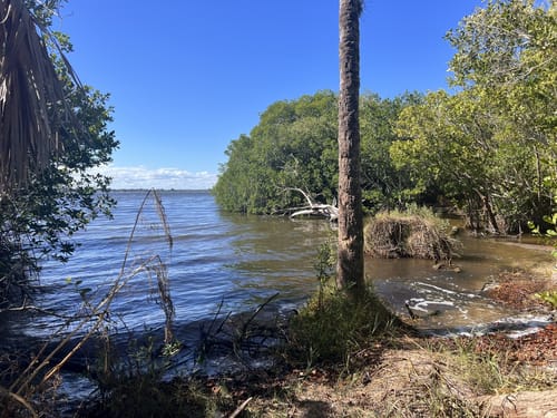 Maritime hammock sanctuary hotsell