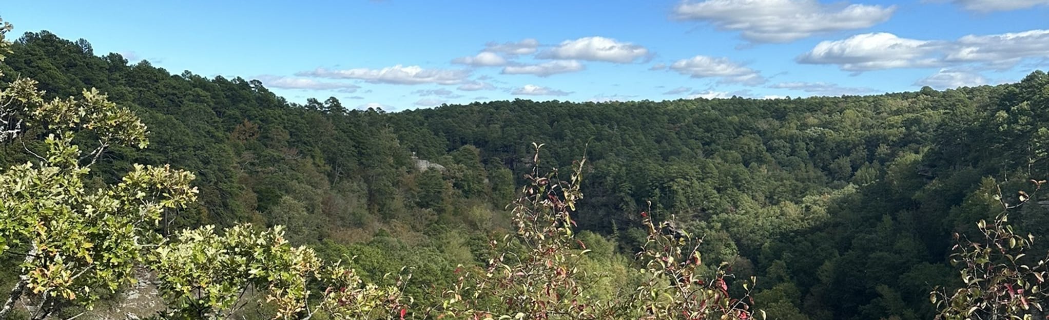 Rock House Cave and Lookout Trail, Arkansas 545 Reviews, Map AllTrails