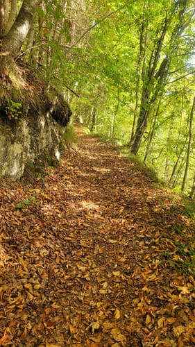 Raiten: Buchberg Rundweg