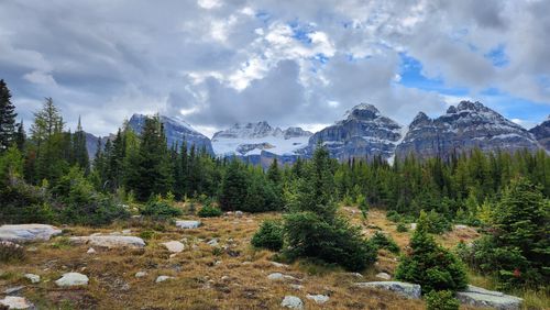 Sentinel Pass: 5.677 Fotos - Alberta, Canadá