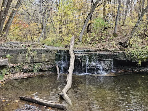 Best Hikes and Trails in Caron Park | AllTrails