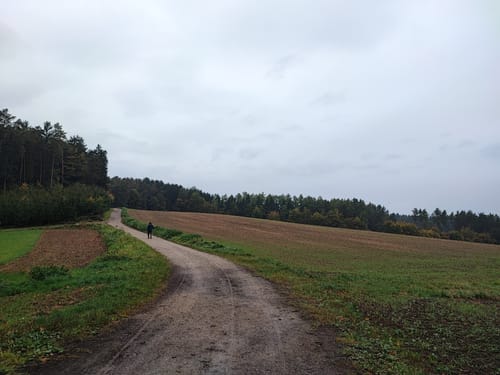 Schabenbergrunde (L6)