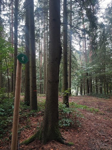 Schabenbergrunde (L6)