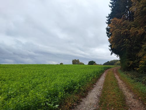 Schabenbergrunde (L6)