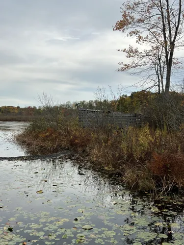 Best Hikes and Trails in Burton Wetlands AllTrails