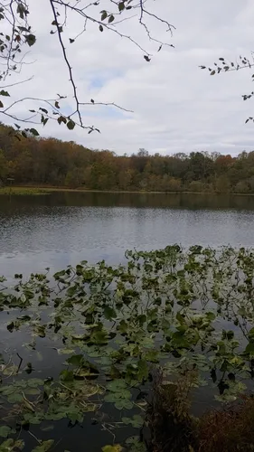 Hidden Gems: 5 Beautiful Hiking Trails in Bowie – Maryland