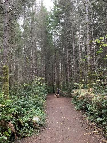 Best Hikes and Trails in Rotary Bark Park | AllTrails