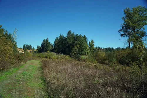 Is Eagle Creek Trail the Best Trail in Oregon?