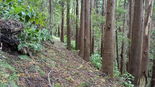 Best Hikes and Trails in Área Protegida para a Gestão de Habitats ou ...