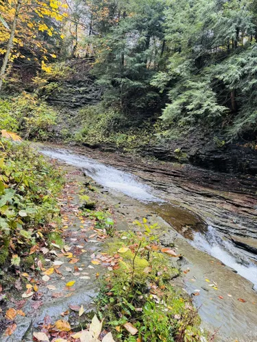 Best Hikes And Trails In Chautauqua Gorge State Forest | AllTrails