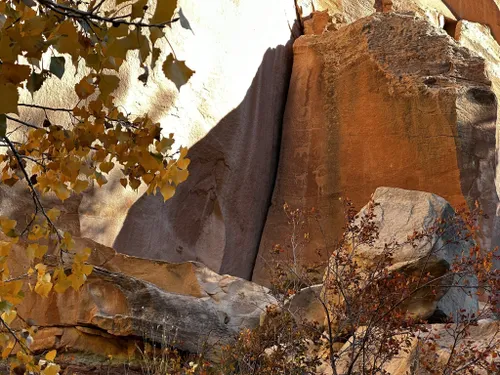 Alltrails capitol outlet reef