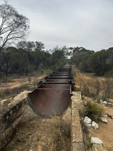 Best Hikes and Trails in Yellowdine AllTrails