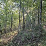 Eagle Rock Loop, Arkansas - 1,892 Reviews, Map | AllTrails