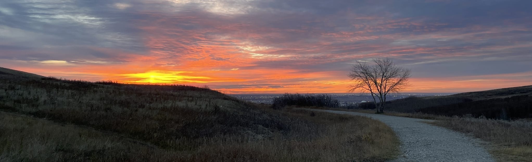Nose Hill Loop from Edgemont Blvd 271 foto's Alberta, Canada