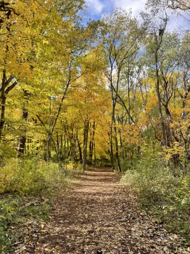 Best Hikes And Trails In Minooka County Park Alltrails