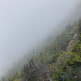 Whiteface Mountain Summit Trail - EyJidWNrZXQiOiJhc3NldHMuYWxsdHJhaWxzLmNvbSIsImtleSI6InVwbG9hZHMvcGhvdG8vaW1hZ2UvNjcxNDYxODIvZTQwNjgyZmM5OGVjMDhkYjhjNjFkYTYzMGIzN2U3NWYuanBnIiwiZWRpdHMiOnsidG9Gb3JtYXQiOiJqcGVnIiwicmVzaXplIjp7IndpZHRoIjoxNjAsImhlaWdodCI6MTYwLCJmaXQiOiJjb3ZlciJ9LCJyb3RhdGUiOm51bGwsImpwZWciOnsidHJlbGxpc1F1YW50aXNhdGlvbiI6dHJ1ZSwib3ZlcnNob290RGVyaW5naW5nIjp0cnVlLCJvcHRpbWlzZVNjYW5zIjp0cnVlLCJxdWFudGlzYXRpb25UYWJsZSI6M319fQ==