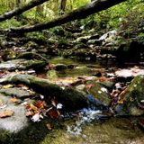 Cucumber Gap and Little River Loop Trail, Tennessee - 2,497 Reviews ...