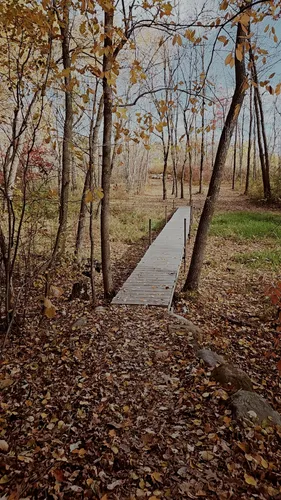 Best Hikes and Trails in Springvale County Park | AllTrails