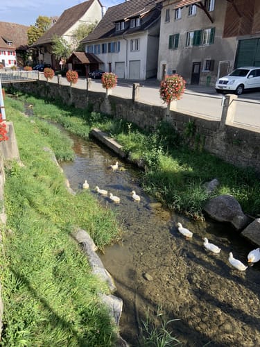 Tar da da Weg Schleitheim