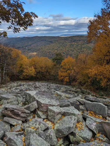 10 Best Hikes and Trails in Cowans Gap State Park | AllTrails