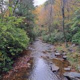 Hawk Falls Trail, Pennsylvania - 2,716 Reviews, Map | AllTrails