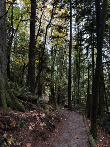 Best Hikes and Trails in Hayward Lake Recreation Area | AllTrails