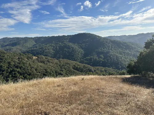 10 Best Hikes And Trails In Henry W Coe State Park AllTrails   EyJidWNrZXQiOiJhc3NldHMuYWxsdHJhaWxzLmNvbSIsImtleSI6InVwbG9hZHMvcGhvdG8vaW1hZ2UvNjcxODA1OTYvNWIxOWViYjEwNDI5ODBiMmRmZTM3YjA5MDYwOTk3ODcuanBnIiwiZWRpdHMiOnsidG9Gb3JtYXQiOiJ3ZWJwIiwicmVzaXplIjp7IndpZHRoIjo1MDAsImhlaWdodCI6NTAwLCJmaXQiOiJpbnNpZGUifSwicm90YXRlIjpudWxsLCJqcGVnIjp7InRyZWxsaXNRdWFudGlzYXRpb24iOnRydWUsIm92ZXJzaG9vdERlcmluZ2luZyI6dHJ1ZSwib3B0aW1pc2VTY2FucyI6dHJ1ZSwicXVhbnRpc2F0aW9uVGFibGUiOjN9fX0=