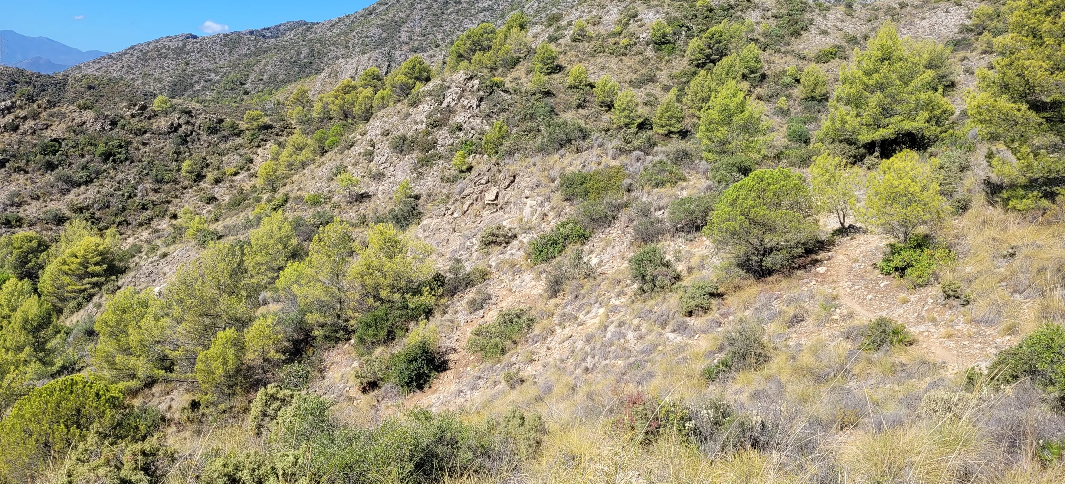 Vereda del Faro