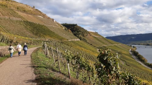 Von Longuich zur Weinbergschleife