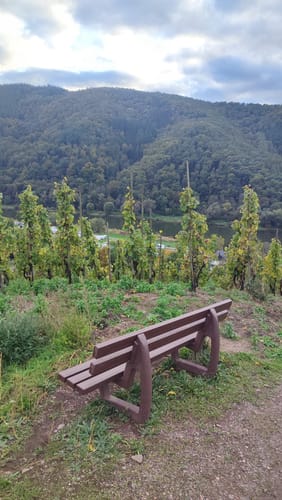 Von Sennhals nach Ediger