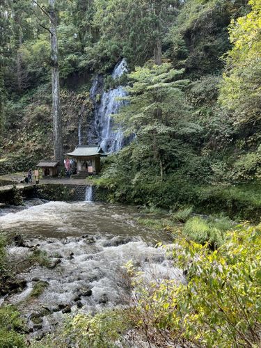 完成品 戦前絵葉書 羽黒山名所 山形県 三山登拝紀念 昭和？14.8.7