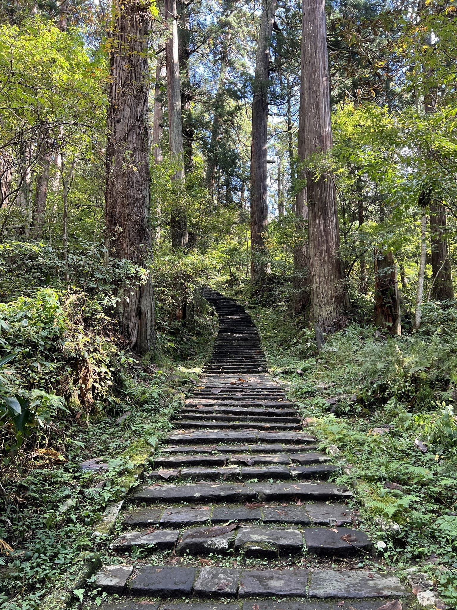 完成品 戦前絵葉書 羽黒山名所 山形県 三山登拝紀念 昭和？14.8.7