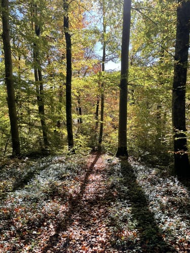 Albschäferweg Etappe 7: Heidenheim - Nattheim