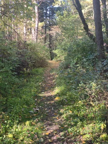 Johnson sauk trail clearance camping