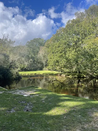 10 Best River Trails in New Forest National Park