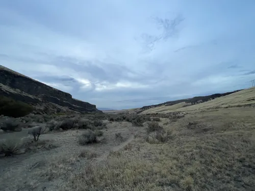 Best Hikes and Trails in Selah Cliffs Natural Area Preserve | AllTrails