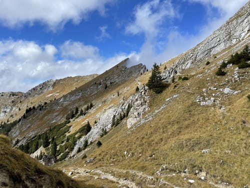 Hochblasse