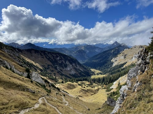 Hochblasse
